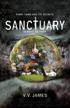 Sanctuary: The SUNDAY TIMES bestselling thriller with a shocking twist!