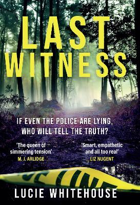 Last Witness: The brand new crime thriller that will keep you up all night