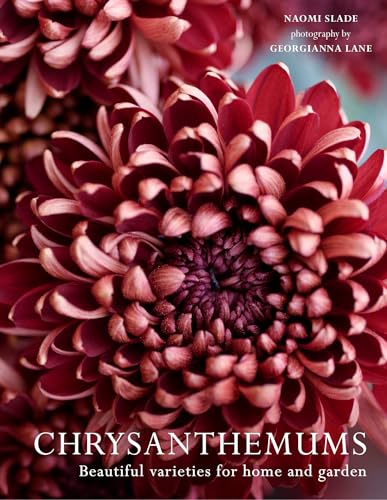 Chrysanthemums: Beautiful varieties for home and garden 