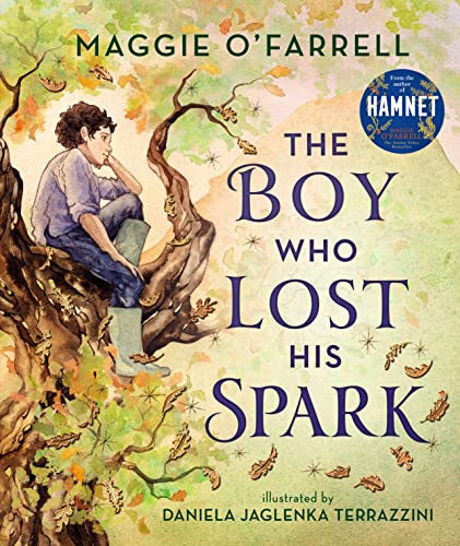 The Boy Who Lost His Spark 