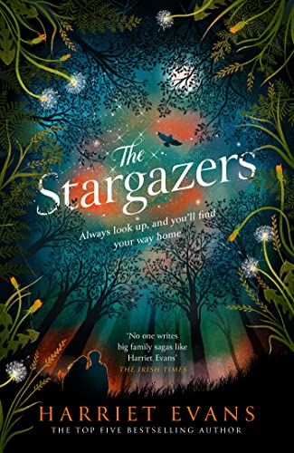 The Stargazers: A captivating, magical love story with a breathtaking twist 
