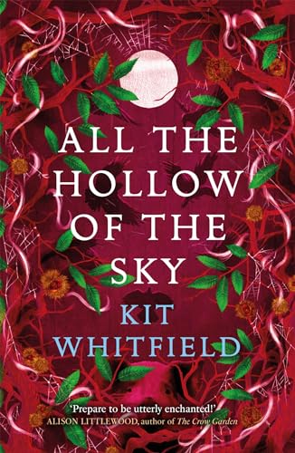 All the Hollow of the Sky: An enthralling novel of fae, folklore and 