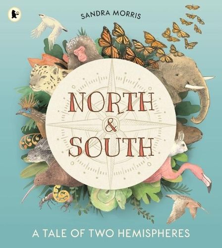 North and South: A Tale of Two Hemispheres