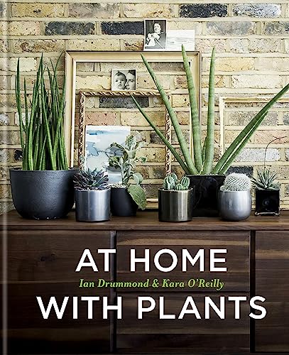 At Home with Plants: Transform Your Home with Plants 