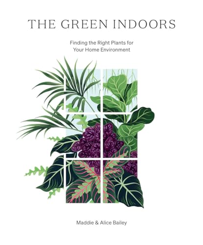 The Green Indoors: Finding the Right Plants for Your Home Environment 