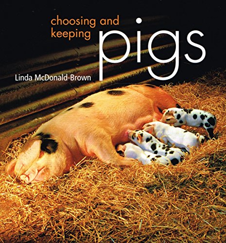 Choosing and Keeping Pigs 