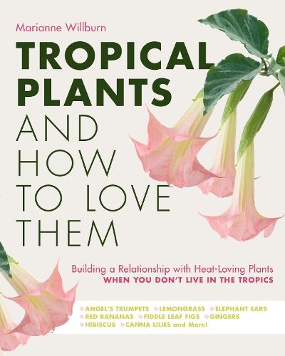Tropical Plants and How to Love Them: Building a Relationship with Heat-Loving Plants When You Don't Live In The Tropics - Angel's Trumpets - Lemongrass - Elephant Ears - Red Bananas - Fiddle Leaf Figs - Gingers - Hibiscus - Canna Lilies and More!