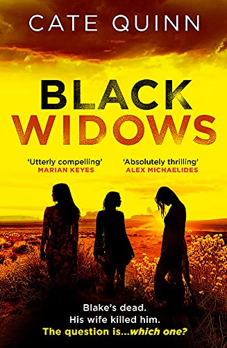 Black Widows: The atmospheric and addictive Mormon murder mystery