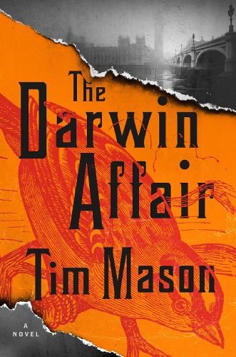 The Darwin Affair: A Novel