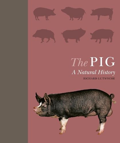 The Pig: A Natural History