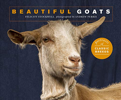 Beautiful Goats: Portraits of champion breeds