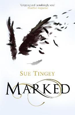 Marked: the first in the magical The Soulseer Chronicles