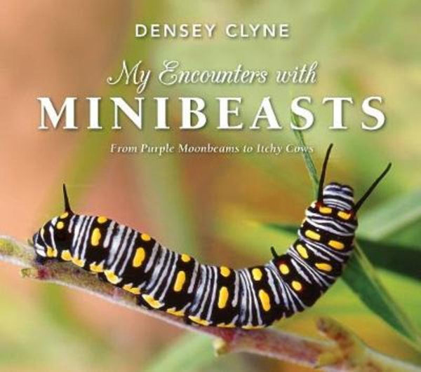 My Encounters with Minibeasts: From Purple Moonbeams to Itchy Cows
