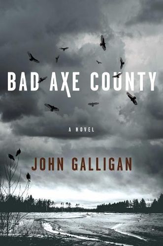 Bad Axe County: A Novel