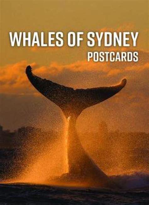 Whales of Sydney Postcards